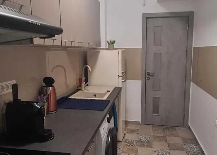 Appartement Pallady 85 *