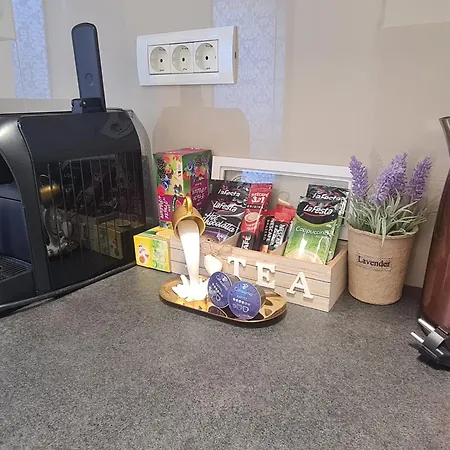 Pallady 85 Bukurešť