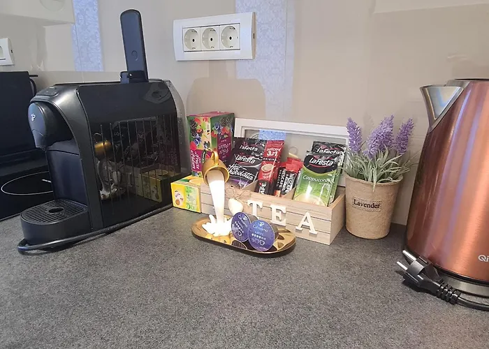 Pallady 85 Bukurešť